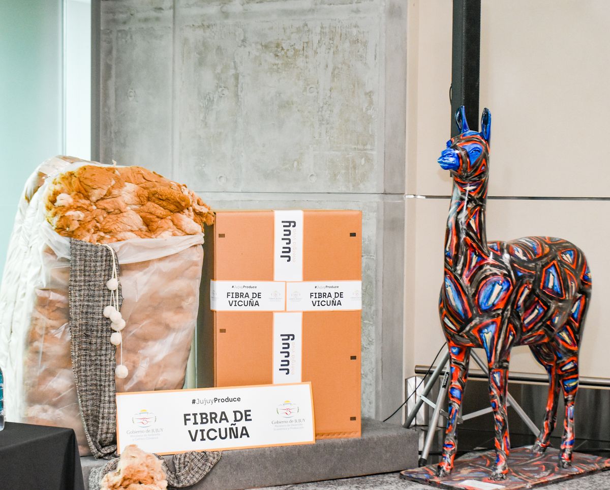 El Gobernador Morales despachó el primer embarque de fibra de vicuña a Italia